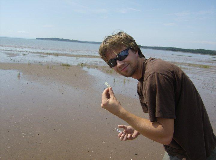 Collecting Shorebird Feces