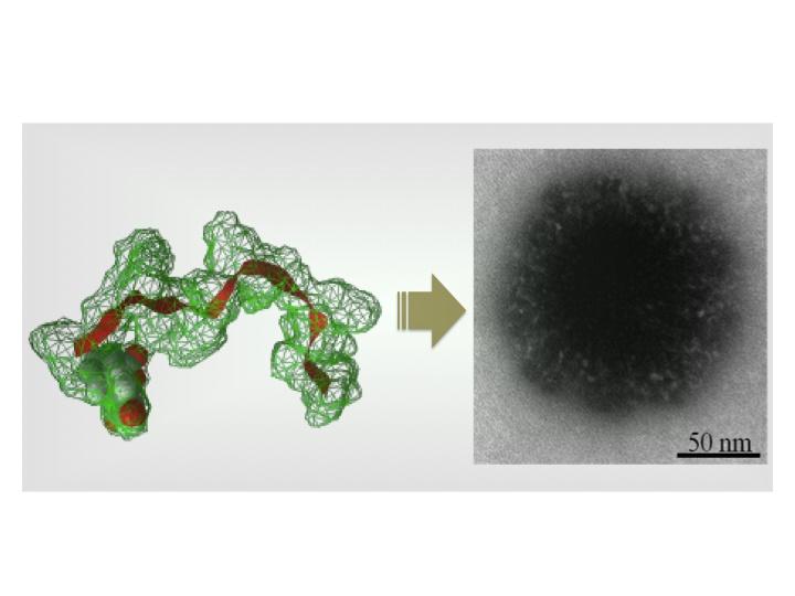 Targeting the Brain