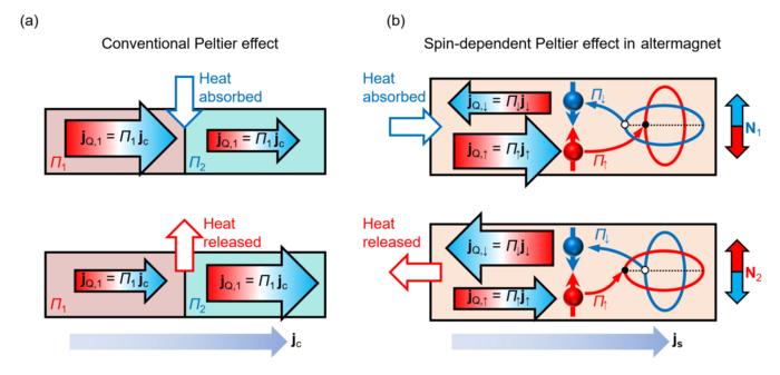 Comparison of spin-dependent Peltier effect in altermagnets and conventional Peltier effect