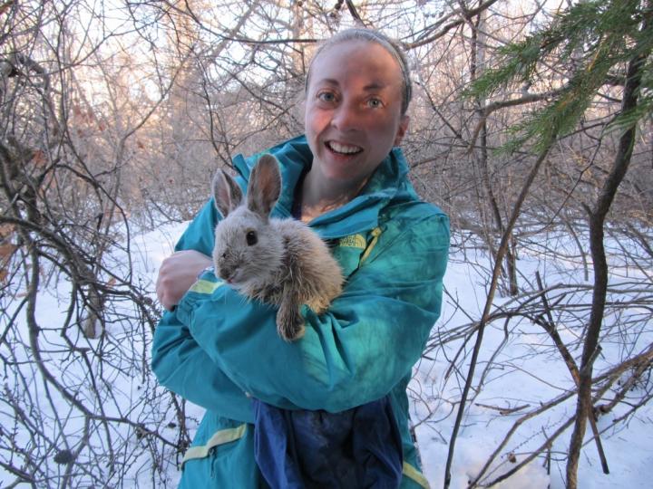 Holding Hare