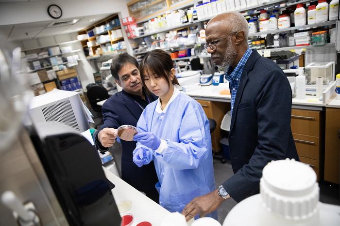 Inventing a Next-Generation Cavity Fighter