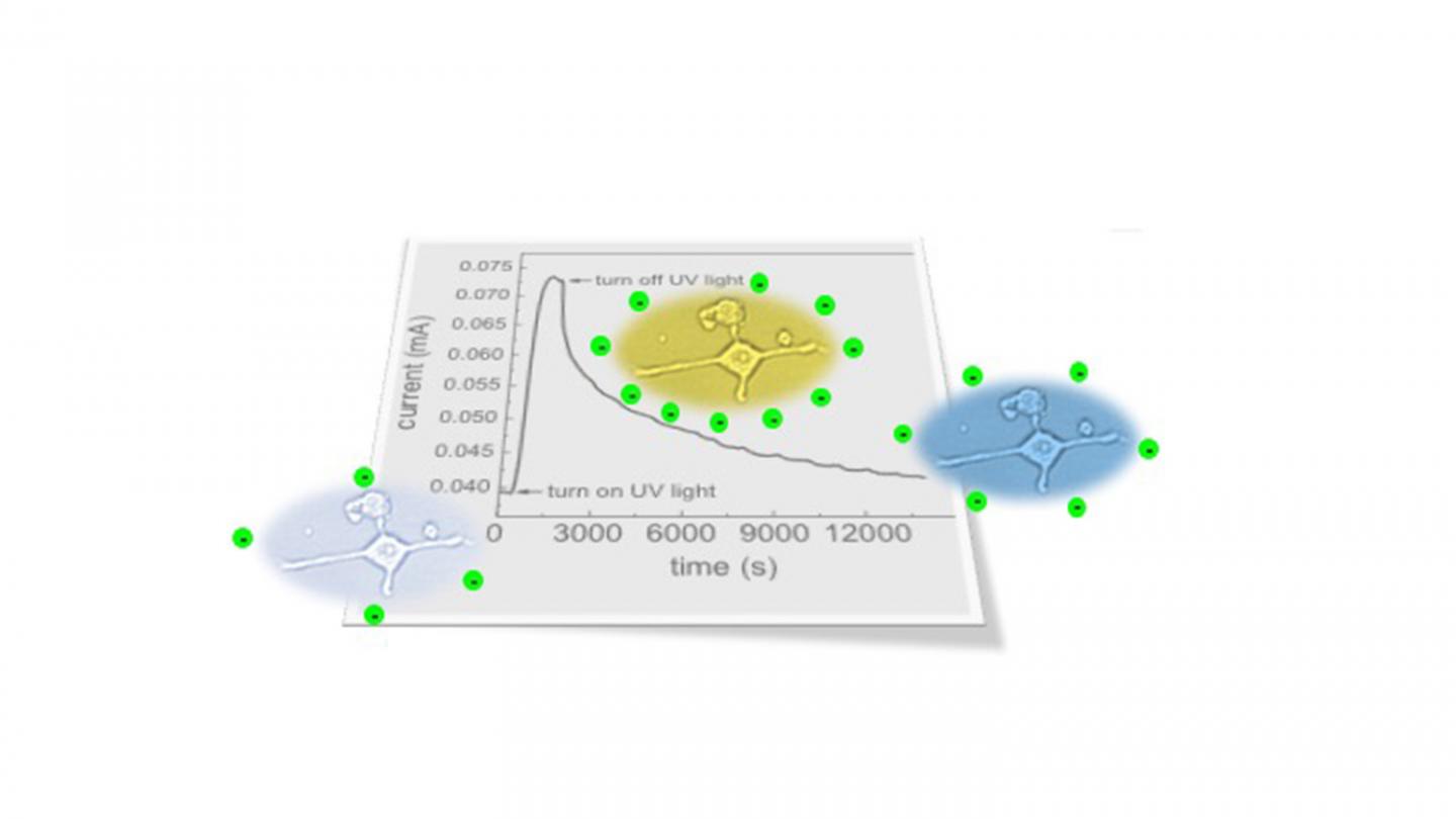Persistent Photoconductivity on a Semiconductor