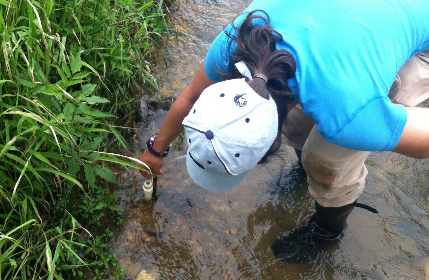 Researcher and Water Testing