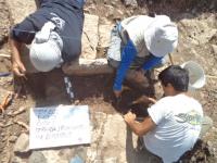 Excavation