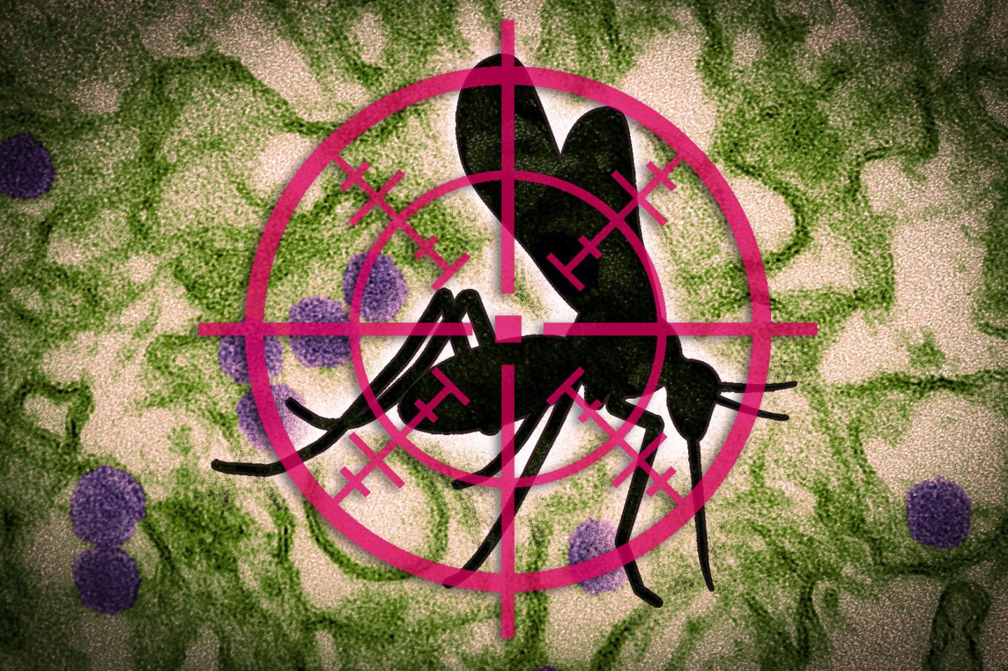 A New Paper-Based Test for the Zika Virus