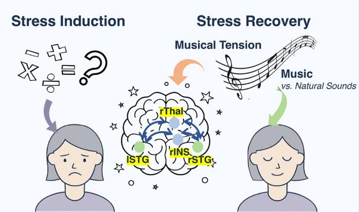 How music reorganizes the brain to bounce back from stress