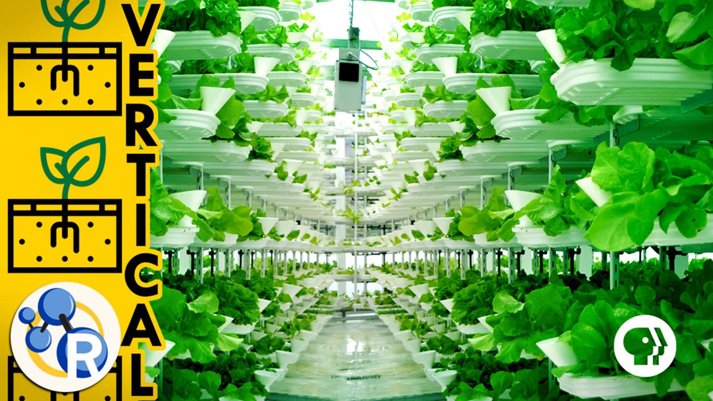 The Farm of the Future? (Video)