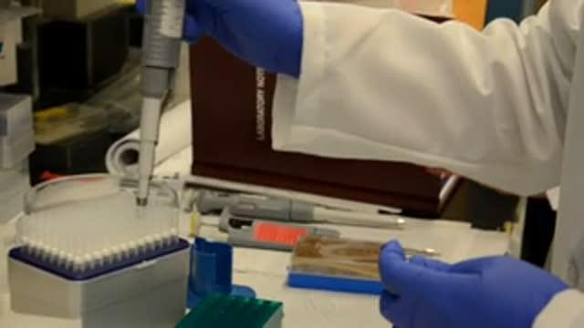New Tool to Grow Cancer Cells Streamlines Laboratory Research