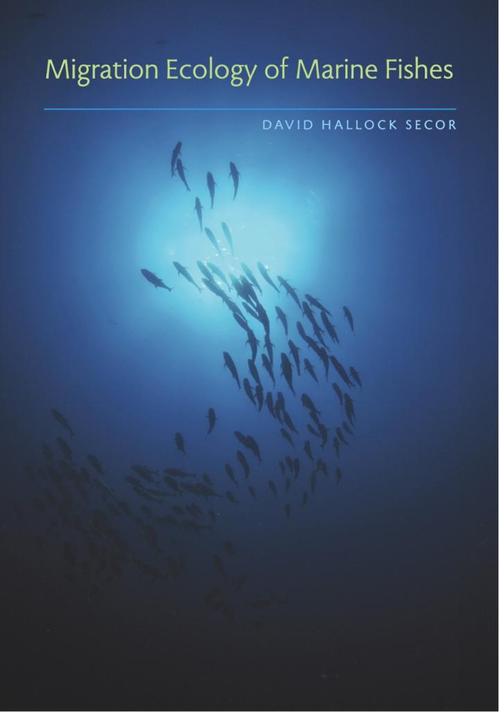 Migration Ecology of Marine Fishes