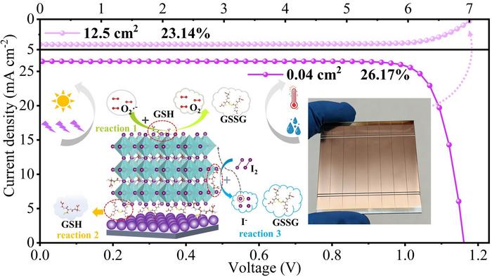 New Strategy Improves Efficiency and Stability of Perovskite Solar Cells