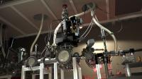 Diffraction of Molecules