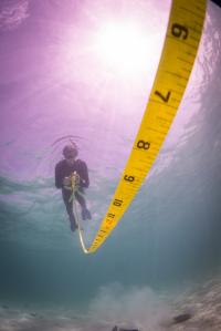 Diver Survey