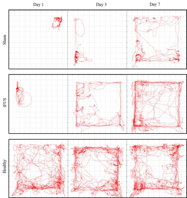 Representative Trajectories for Stroke Model Rats