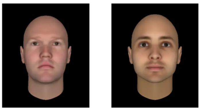 faces