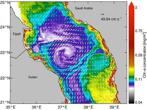 Red Sea Gene Pool Follows Water Flow