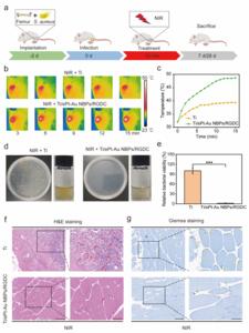 Figure 3 In vivo antibacterial activity of implants (0.6 W cm-2).