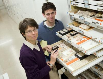 Susan Kidwell, Adam Tomašových, University of Chicago