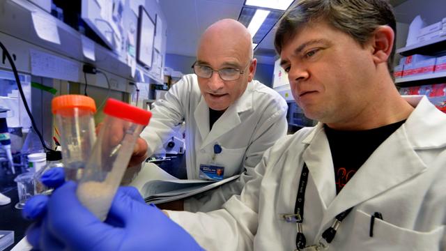 Dr. Erhard Bieberich, Medical College of Georgia at Georgia Regents University
