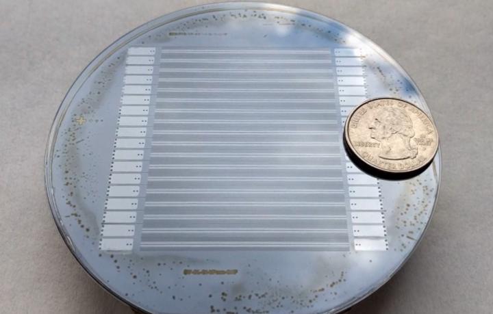 Microfluidic Chip