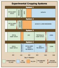 Cropping Diagram