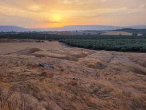 Prehistoric human vertebra discovered in the Jordan Valley tells the story of prehistoric migration from Africa