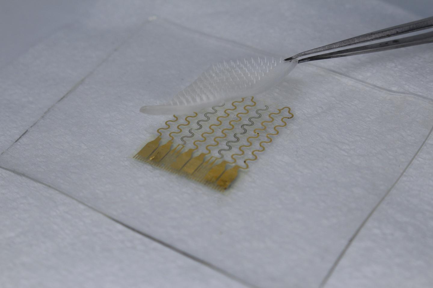 Sweat-based Device Monitors Sugar Levels and Delivers Diabetes Drug (15 of 16)