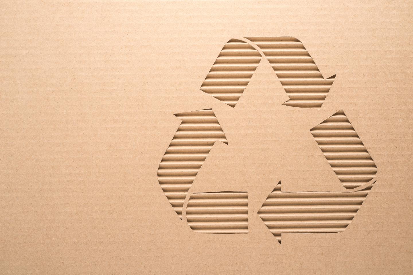 Graphene Flagship Partners Discover Graphene can be Biodegradable