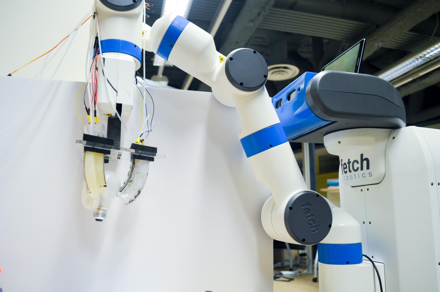 Robotics Gripper and Fetch Robotics Robot