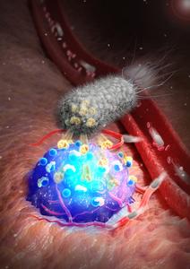 Journal Cover Image