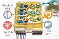 Gut Brain Axis Device (with description)