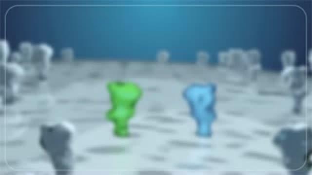 B-roll Support and Animation
