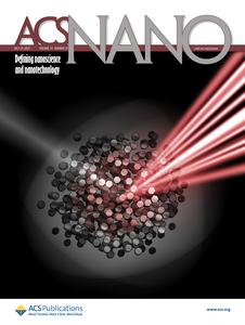 The cover of ACS Nano, July 29, 2025, Volume 19