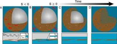 Schematic of Clay Vesicle Formation