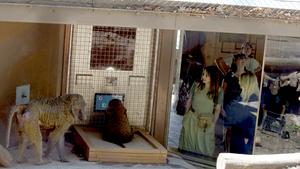The Primate Portal