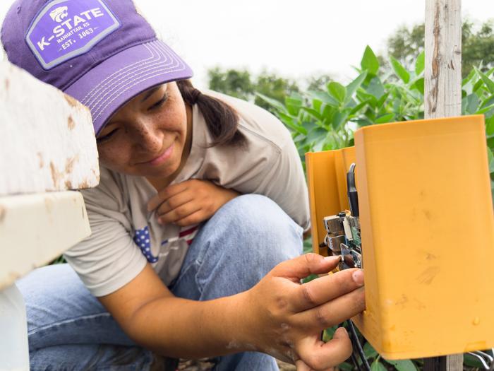 Olivia Herold troubleshoots Insect Eavesdropper