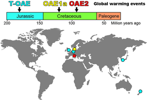 Ghost nannofossils were found globally, in rocks from three rapid warming events in Earth’s history (the T-OAE, OAE1a and OAE2).