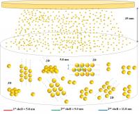 Model of the Self-Assembly Mechanism