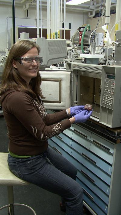 Tara Lovestead , NIST