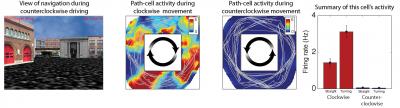 Path Cells