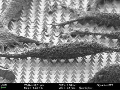 Micro Pyramids