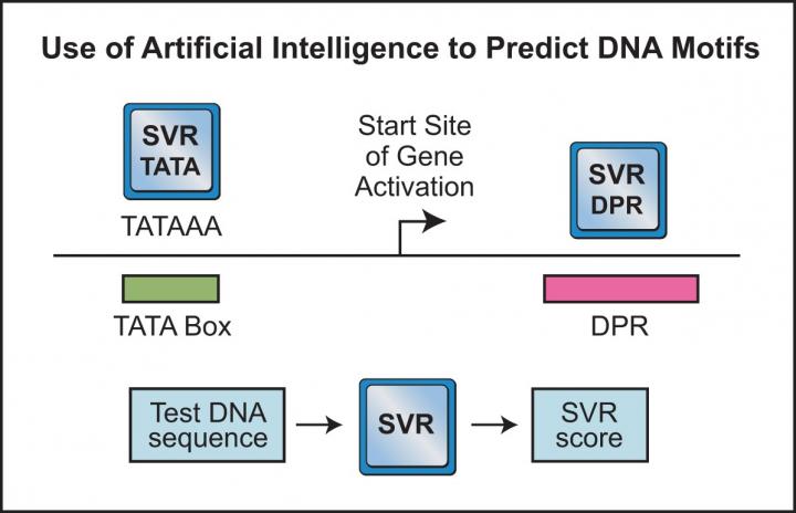 DPR Discovery