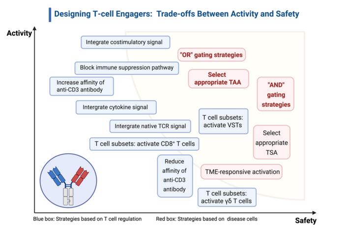 Graphical abstract