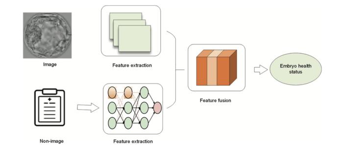The multimodal evaluation process is divided into 3 main steps