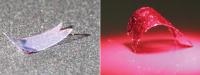 Soft Robot Moving under Illumination