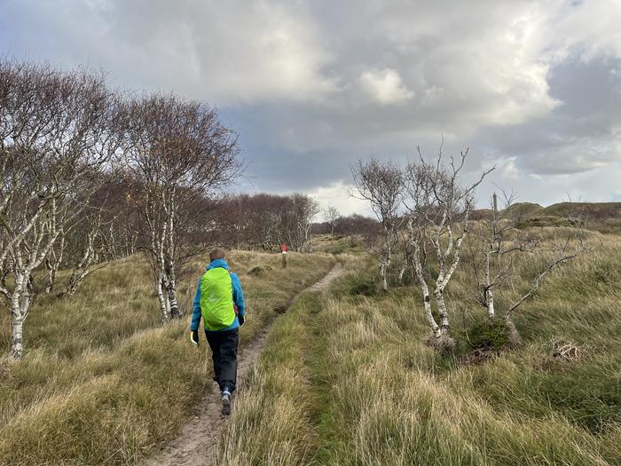 Walk throuh the dunes