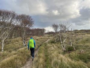 Walk throuh the dunes