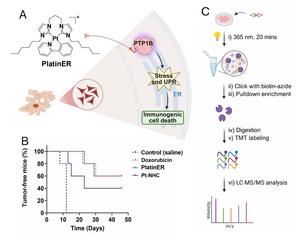 Molecular target drives immunogenicity in cancer immunotherapy