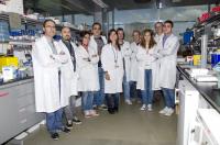Researchers Team