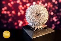 Prize Trophy by Alicia Bergsten