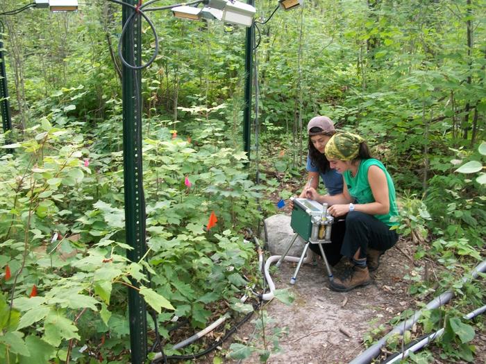 B4WarmED: Taking measurements at a warming experiment